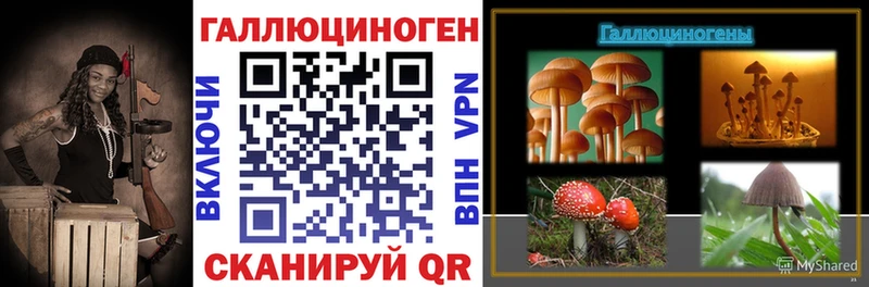 купить наркоту Северобайкальск Псилоцибиновые грибы GOLDEN TEACHER