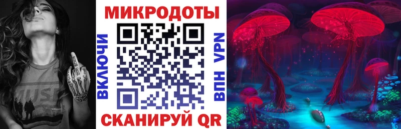 Галлюциногенные грибы Psilocybe Северобайкальск